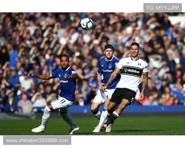 分析inbet bg在市场中的竞争优势与未来发展趋势